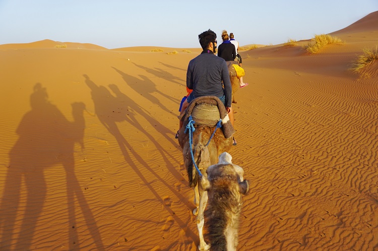 サハラ砂漠ツアーに行ってきたよ。【その模様とか費用とか日程とかいろいろね】